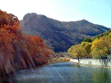 新澳天天彩免费资料大全查询，水洗高岭土